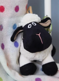 Daisy The Connemara Black Face Sheep