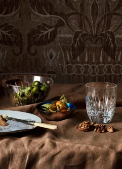 Waterford Crystal Ardan Mara Tumbler Pair